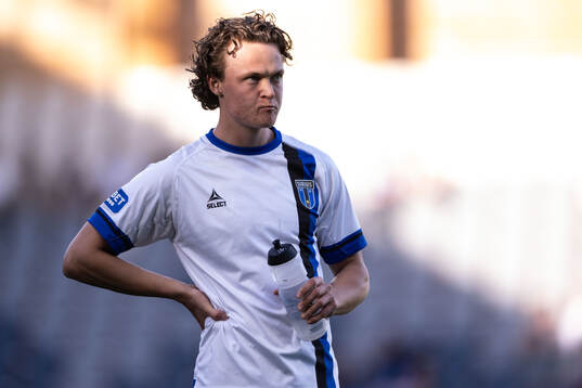 Sirius Herman Sjögrell