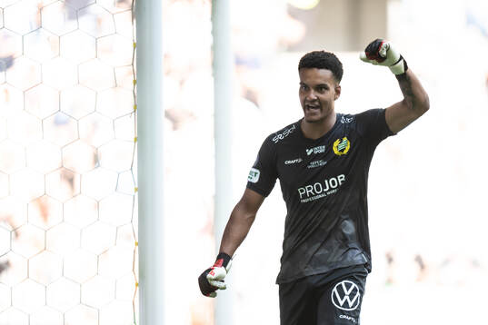 Hammarbys målvakt Oliver Dovin