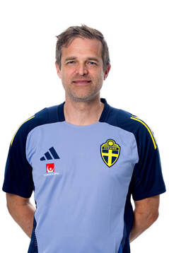 Jonas Werner, doctor of the Swedish national football team,