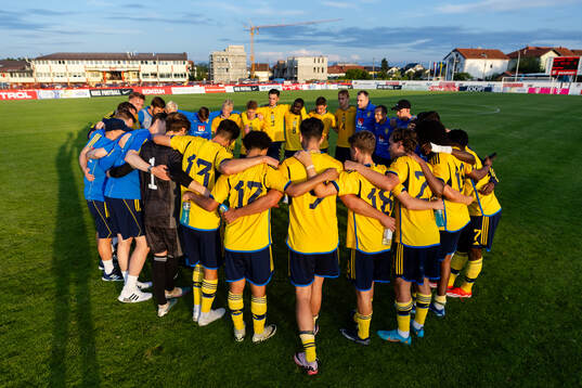 Players of Sweden
