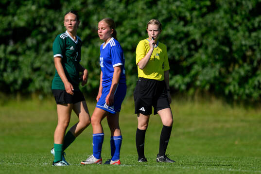 s riksläger för F15