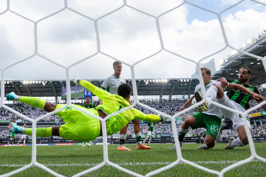 Hammarbys målvakt Oliver Dovin