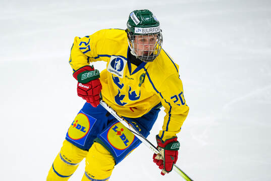 Bosse Meijer of Sweden