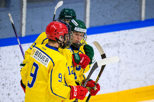 Bosse Meijer of Sweden celebrates with teammates scoring a
