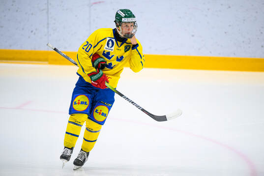 Bosse Meijer of Sweden