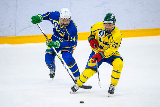 Mikael Kim and Bosse Meijer