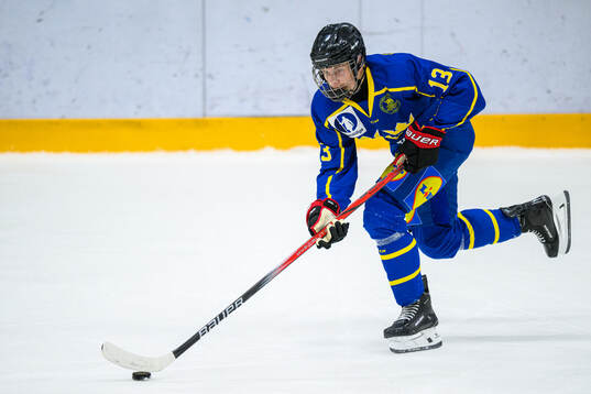 Elton Hermansson of Sweden