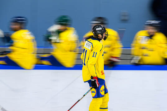 Marcus Nordmark of Sweden celebrates with teammates