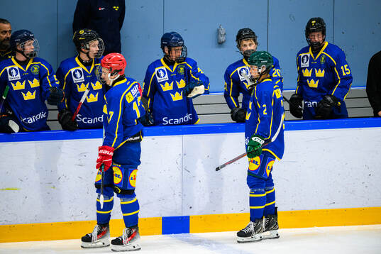 Players of Sweden celebrate