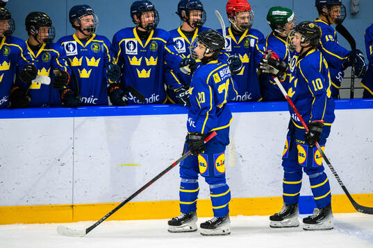 Leo Tjälldén of Sweden celebrates with teammates