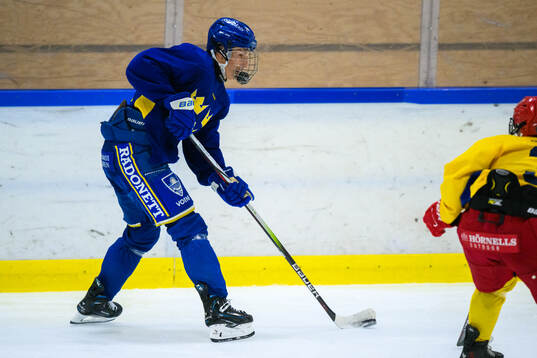 Melvin Novotny of Sweden