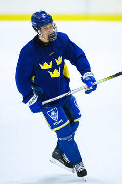 Melvin Novotny of Sweden