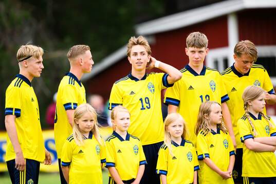 Sveriges Emil Sadarangani