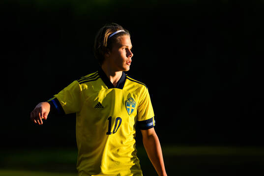 Sveriges Love Arrhov