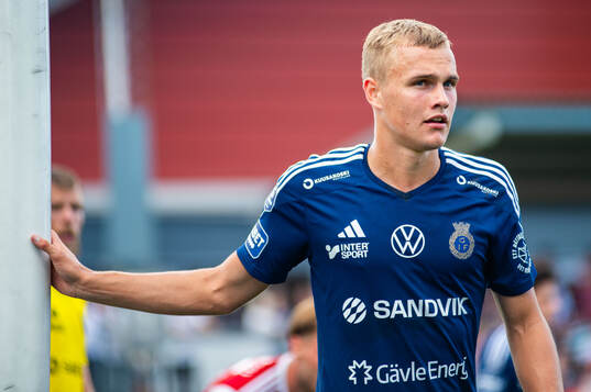 Gefles Gustav Friberg