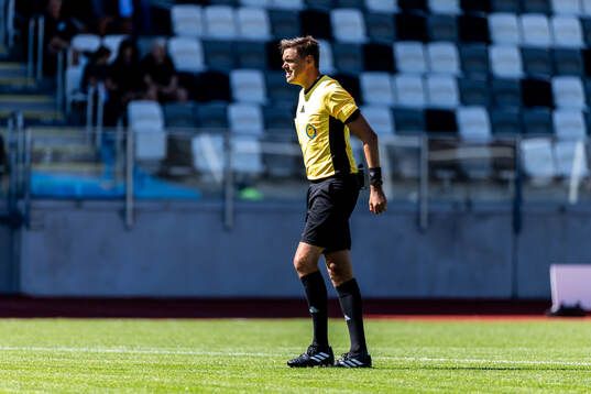 Domare Magnus Lindgren