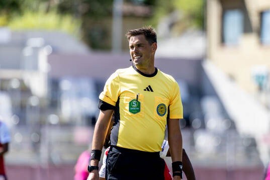 Domare Magnus Lindgren