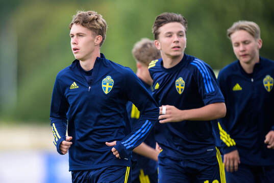 Sveriges Dion Mehmeti