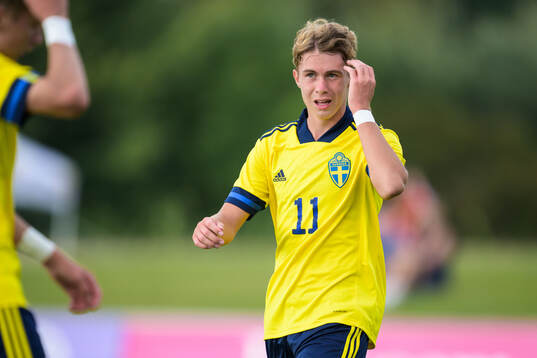 Sveriges Dion Mehmeti