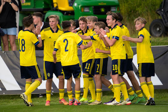 Sveriges Dion Mehmeti jublar efter 1-0
