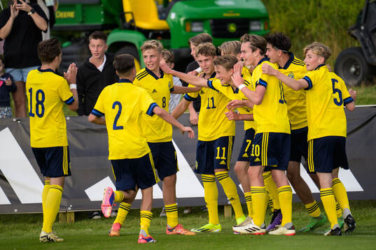 Sveriges Dion Mehmeti jublar efter 1-0