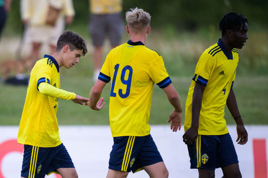 Sveriges Alexander Lindgren jublar efter 2-0