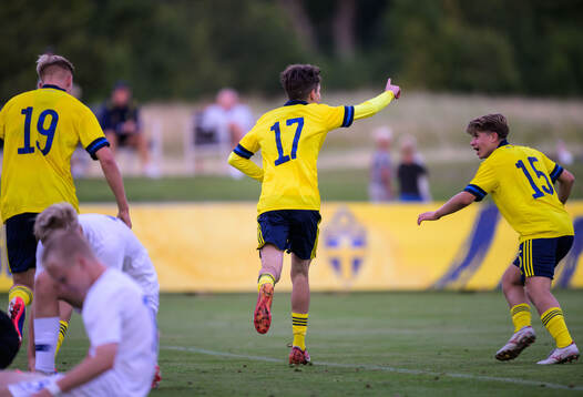 Sveriges Alexander Lindgren jublar efter 2-0