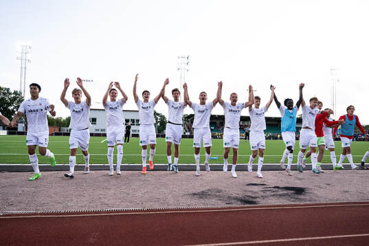 Helsingborgs spelare jublar