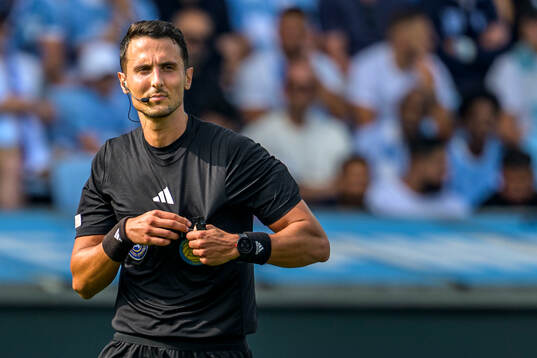 Domare Adi Aganovic