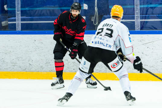 Malmö Redhawks Robin Hanzl och Fischtown Penguins Max