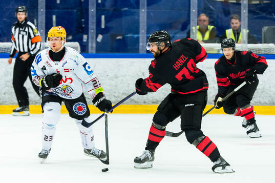 Fischtown Penguins Max Görtz och Malmö Redhawks Robin