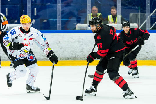 Fischtown Penguins Max Görtz och Malmö Redhawks Robin