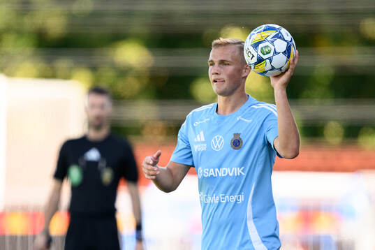 Gefles Gustav Friberg