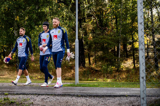 Goalkeepers Kristoffer Nordfeldt, Jacob Widell Zetterström
