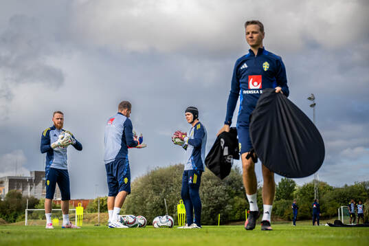 Goalkeepers Viktor Johansson, Kristoffer Nordfeldt and
