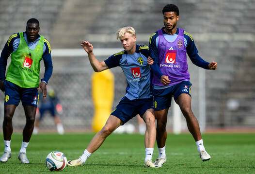 Lucas Bergvall and Jens Cajuste of the Swedish men's