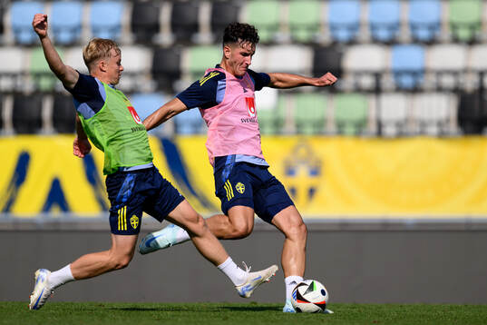 Daniel Svensson and Deniz Gül