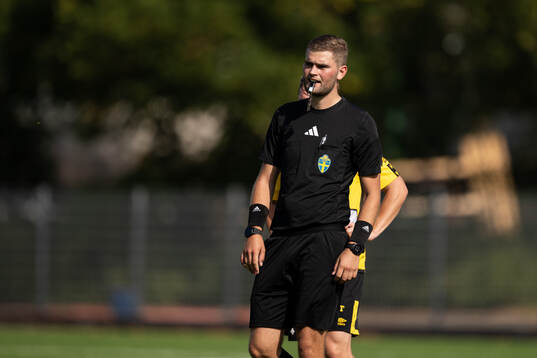 Domare Rasmus Hermansson