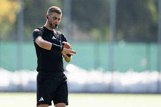 Domare Rasmus Hermansson