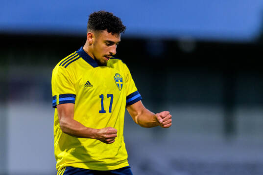 Moutaz Neffati of Sweden celebrates after 1-3