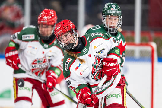 Modos Lauren Bellefontaine