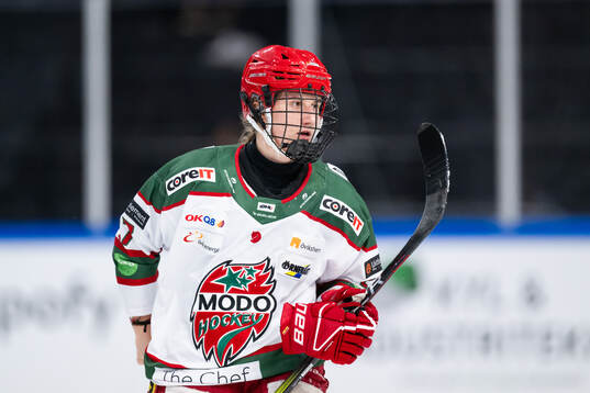 Modos Adela Sapovalivova