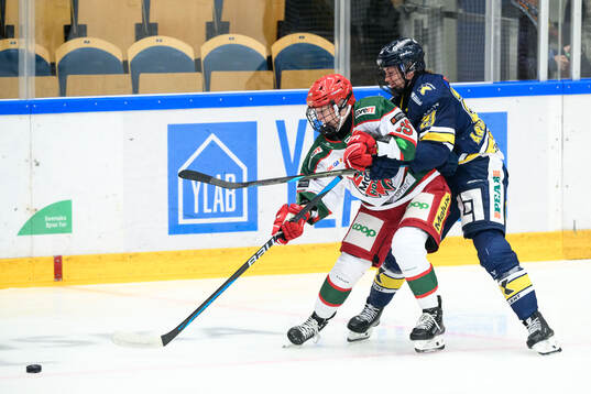 Modos Linnéa Andersson och HV71s Amanda Andersson