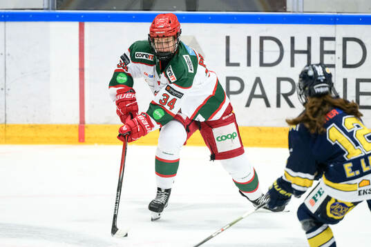 Modos Vendula Pribylova