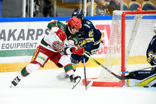 Modos Adela Sapovalivova