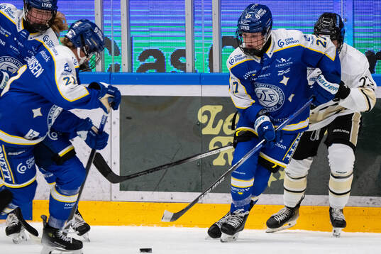 Leksands Shay Maloney