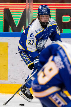 Leksands Shay Maloney