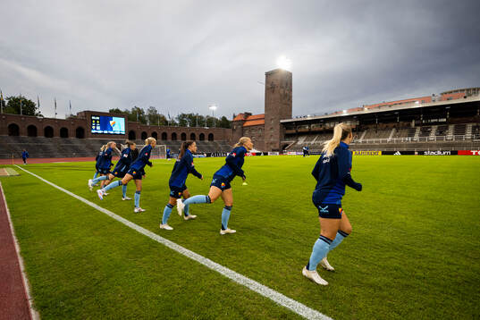 Djurgårdens spelare