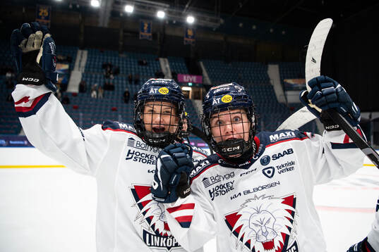Bla gjennom flere bilder av Ishockey, SDHL, Djurgården - Linköping