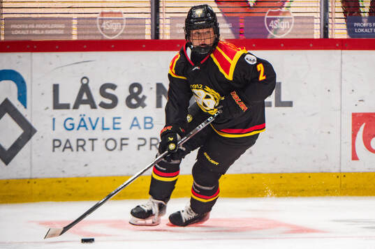 Brynäs Maja Nylen-Persson
